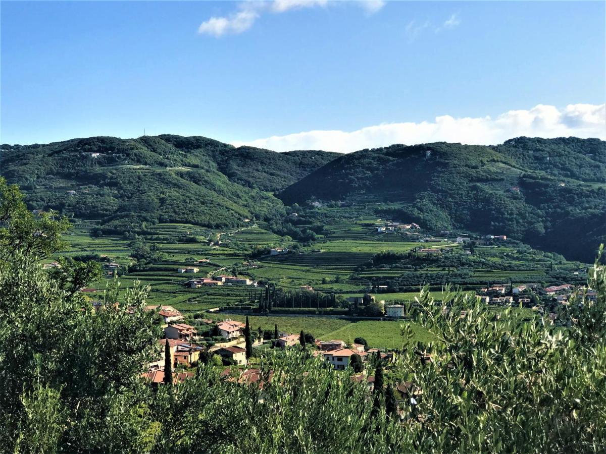 Апартаменти Valpolicella Hills Неґрар Екстер'єр фото