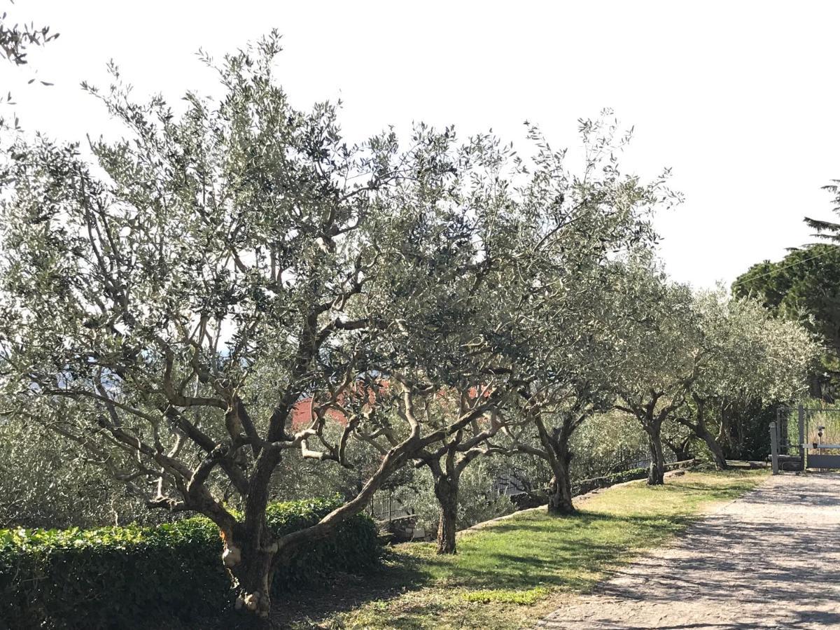 Апартаменти Valpolicella Hills Неґрар Екстер'єр фото