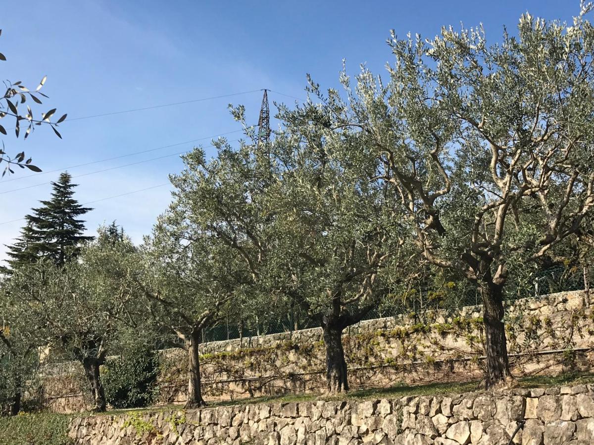 Апартаменти Valpolicella Hills Неґрар Екстер'єр фото