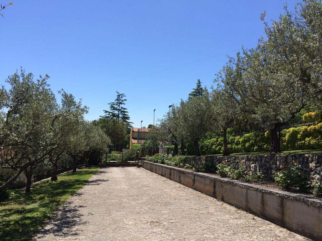 Апартаменти Valpolicella Hills Неґрар Екстер'єр фото